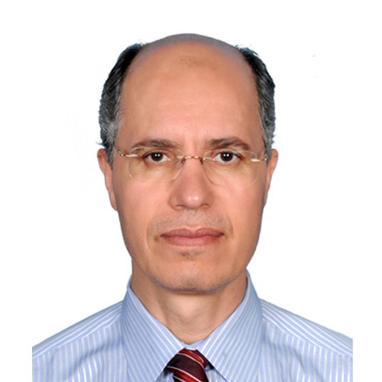 Pr. Saddek Rabah